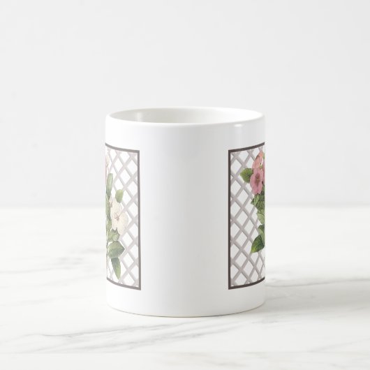 MAAGDENVELLEN KOFFIEMOK (Center)