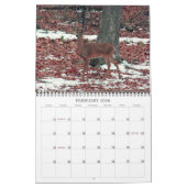 Maak 2021Better Deer Kalender (Feb 2026)
