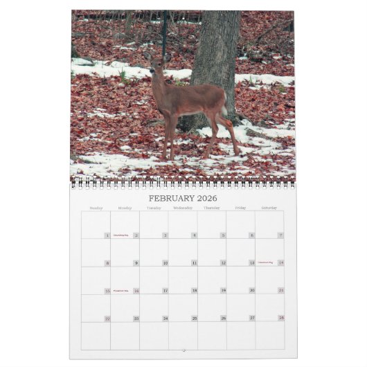 Maak 2021Better Deer Kalender (Feb 2026)