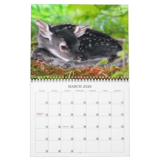 Maak 2021Better Deer Kalender (Mar 2026)