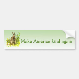 Maak Amerika weer een soort konijnenkonijn-Bumpers Bumpersticker