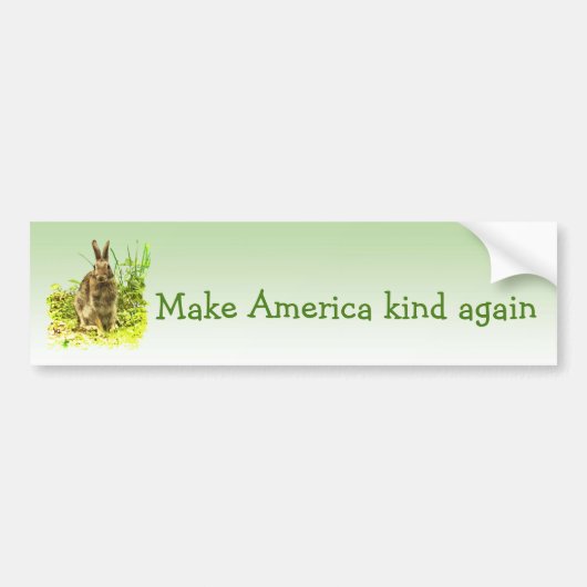 Maak Amerika weer een soort konijnenkonijn-Bumpers Bumpersticker (Voorkant)