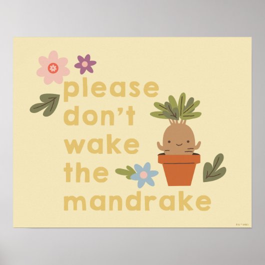 Maak de mandrake niet wakker poster (Voorkant)