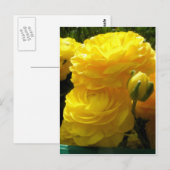 Maak de mijne geel briefkaart (Voorkant / Achterkant)
