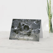 Maak een Big Splash Stylish Fun Birthday Card Kaart (Voorkant)