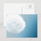 Maak een Briefkaart van Wish Dandelion (Voorkant / Achterkant)