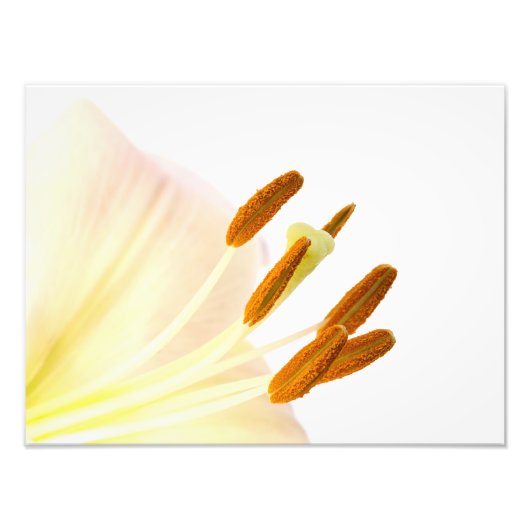 Maak een foto van lievelingsmannen dicht foto afdruk (Voorkant)