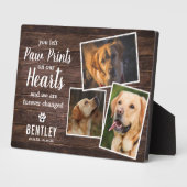 Maak een Hartverwarmende Herdenking voor uw Harige Fotoplaat (Zijkant)