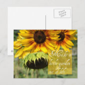 Maak een tuin Zonnebloemen Post Kaart (Voorkant / Achterkant)
