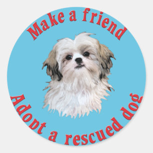 Maak een vriend - Shih Tzu Ronde Sticker