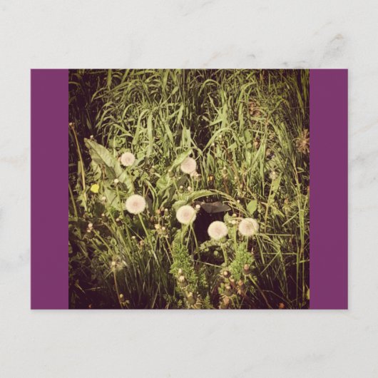 Maak een wens Briefkaart (Voorkant)