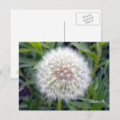 Maak een wens Briefkaart (Voorkant / Achterkant)