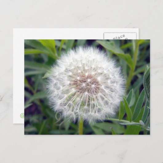 Maak een wens Briefkaart (Voorkant / Achterkant)