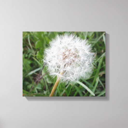 Maak een Wens Canvas Afdruk (Voorkant)