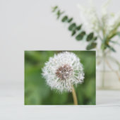 Maak een wens! Dandelion Briefkaart (Staand voorkant)