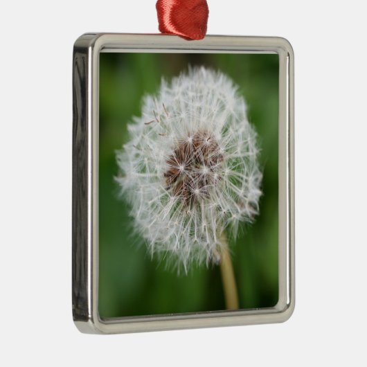 Maak een wens! Dandelion Square Ornament (Rechts)