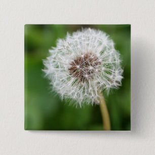 Maak een wens! Dandelion Vierkante Button 5,1 Cm