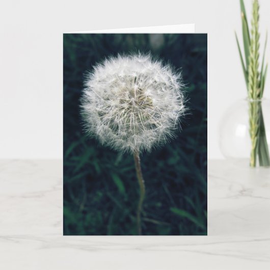 Maak een Wens Kaart (Voorkant)