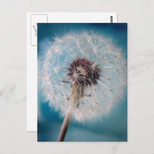 Maak een Wish Briefkaart (Voorkant / Achterkant)