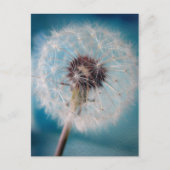 Maak een Wish Briefkaart (Voorkant)