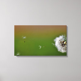 Maak een Wish. Canvas Afdruk