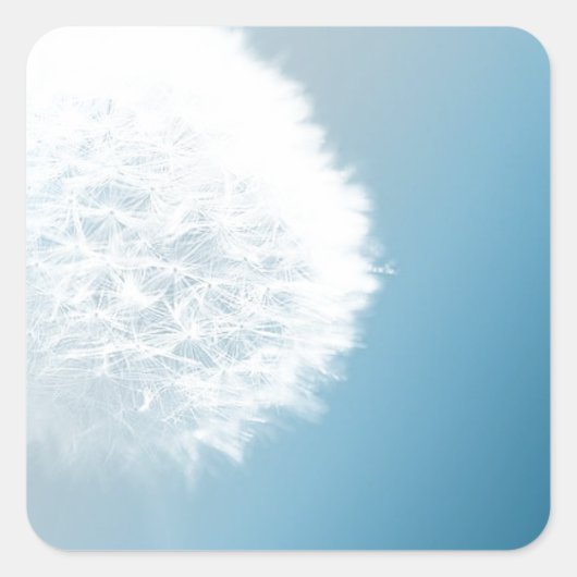 Maak een Wish Dandelion Vierkante Sticker (Voorkant)
