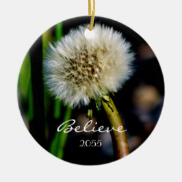 Maak een Wish, geloof, Dandelion kerstversiering Keramisch Ornament