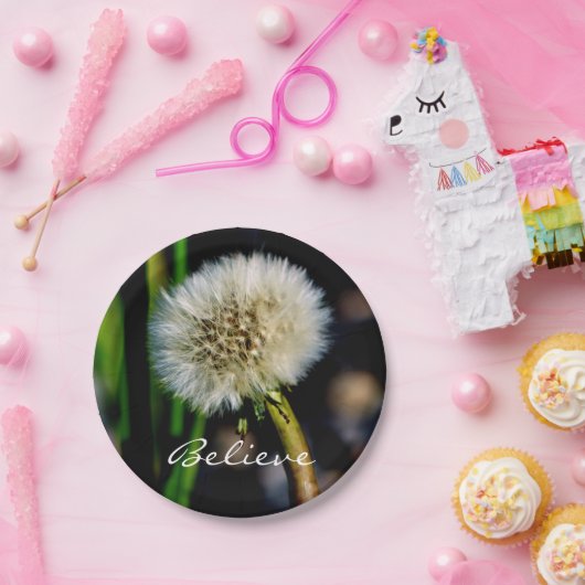 Maak een Wish, geloof, Dandelion Papieren Bordje (Feest)