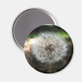 Maak een Wish - Magnet (Voorkant / Achterkant)