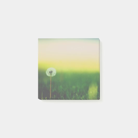 Maak een Wish Post het Nota's Post-it® Notes (Voorkant)