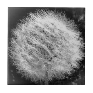 Maak een Wish Tile Tegeltje