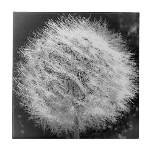 Maak een Wish Tile Tegeltje (Voorkant)