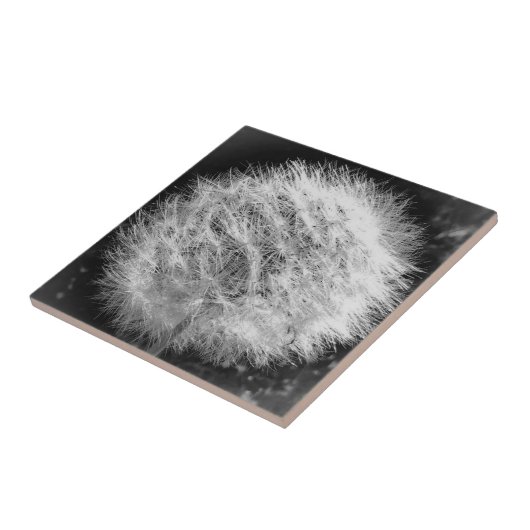 Maak een Wish Tile Tegeltje (Zijkant)