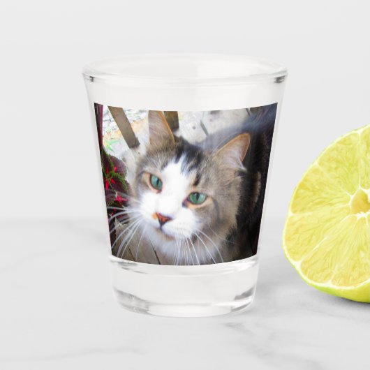 Maak eenvoudig uw eigen aangepaste foto shot glas (Voorkant)