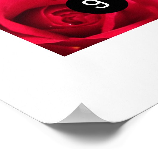 Maak eenvoudig uw eigen fotokunst met 12 afbeeldin poster (Hoek)