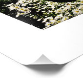 Maak eenvoudig uw eigen fotokunst met 9 afbeelding foto afdruk (Hoek)