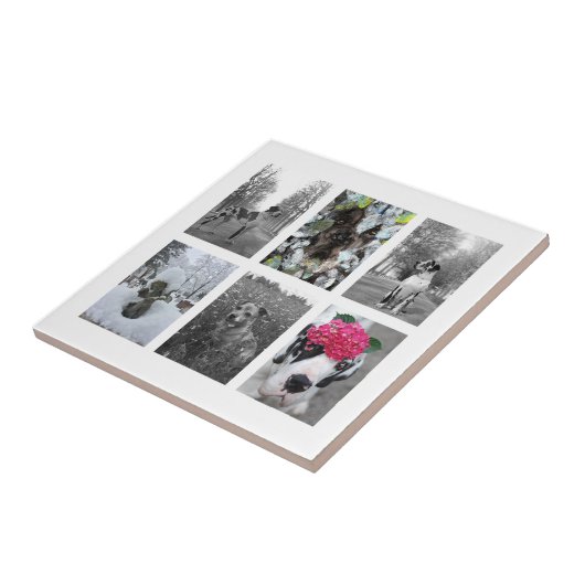 Maak het je Grote Deen Tegeltje (Zijkant)