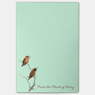 Maak het meeste van vandaag: Rufous Hummingbird Ar Post-it® Notes