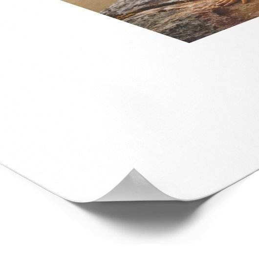 Maak Je Eigen 14 Foto Collage Poster (Hoek)