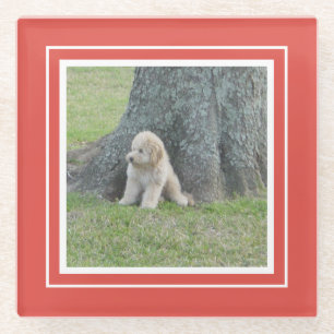 Maak je eigen aandenken foto moderne sjabloon rood glazen onderzetter