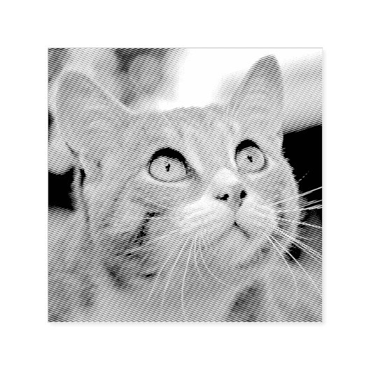 Maak Je Eigen Aangepaste Foto Stempel Huisdier Kat (Design)