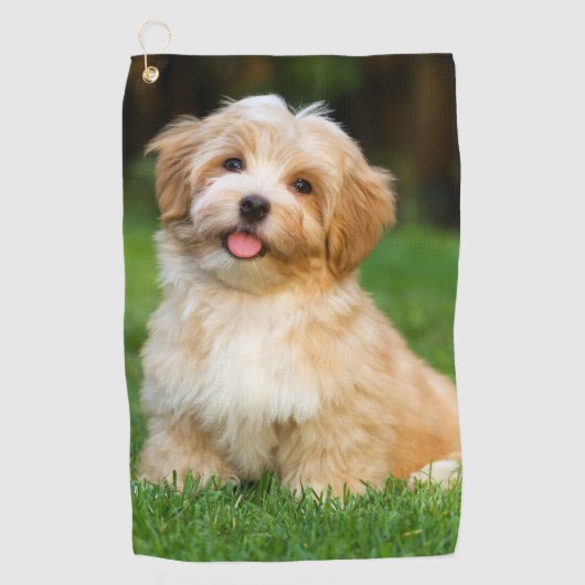 Maak Je Eigen Aangepaste Huisdier Hond Kat Golfhanddoek (Voorkant)