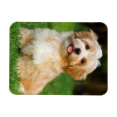 Maak je eigen aangepaste huisdierhond foto magneet (Horizontaal)