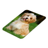 Maak je eigen aangepaste huisdierhond foto magneet (Linkerzijde)