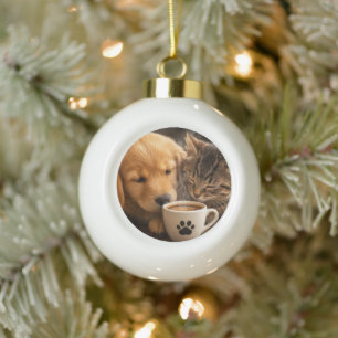 Maak je eigen aangepaste kat en hond keramische bal ornament