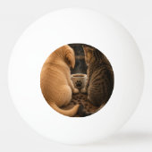 Maak je eigen aangepaste kat en hond pingpongbal (Achterkant)