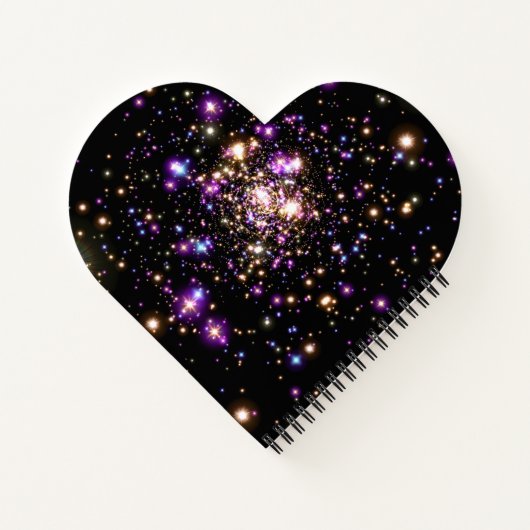 Maak je eigen aangepaste notitieboek (Achterkant)