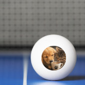 Maak je eigen aangepaste pingpongbal (Net)