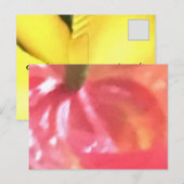 MAAK JE EIGEN ANSICHTKAARTEN BRIEFKAART (Voorkant / Achterkant)