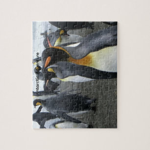 Maak Je Eigen Antarctisch Landschap Puzzel 8x10 11
